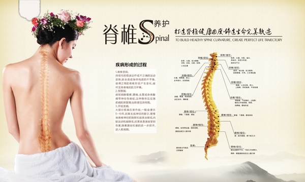 脊椎养护海报