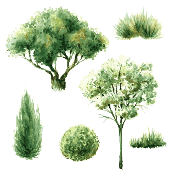 绿色水彩绘植物大树插画