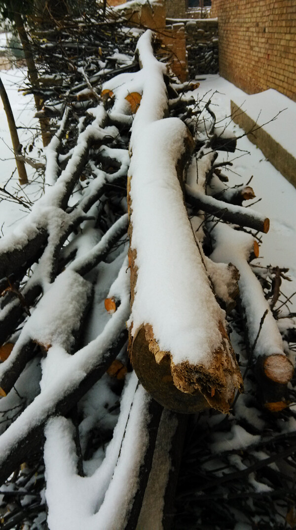 木头的积雪雪特写雪景