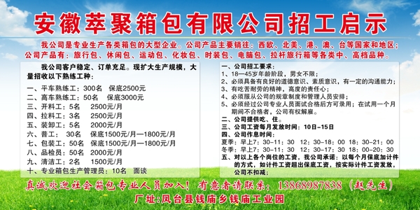 企業(yè)招聘