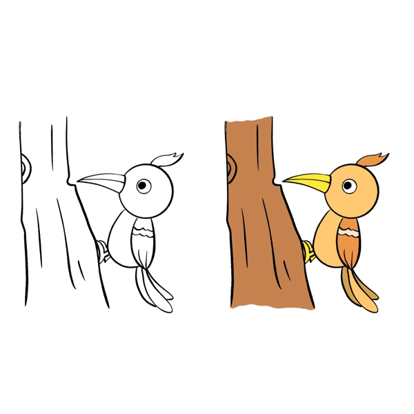 啄木鸟插画图片