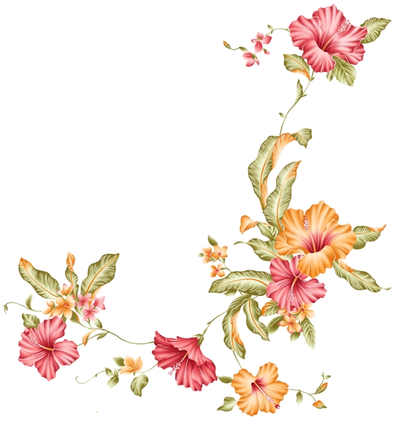百合花