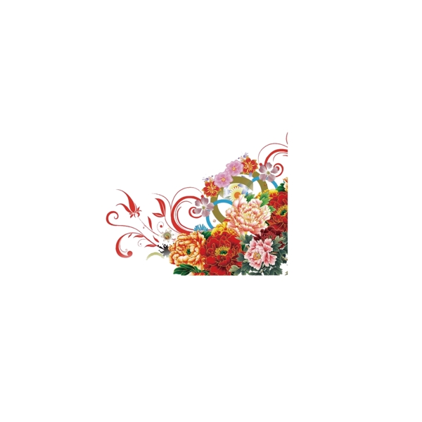 角花圖片