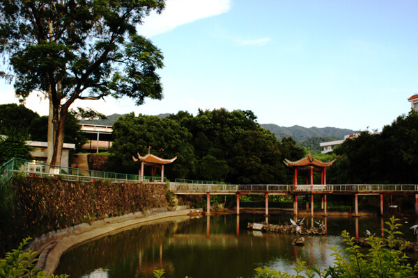 龍巖學(xué)院圖片