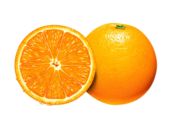 逼真水果系列之橙子图片