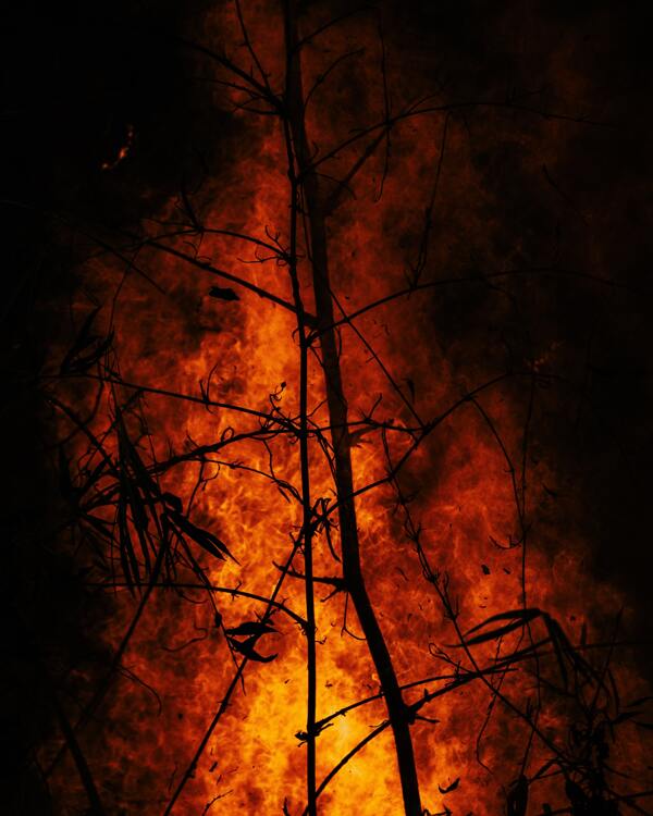 森林灾难大火