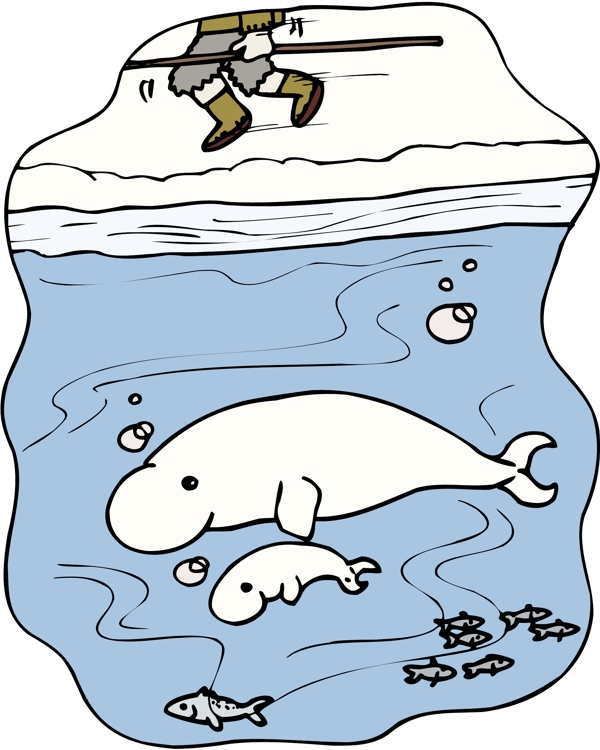 鲸鱼的白鲸