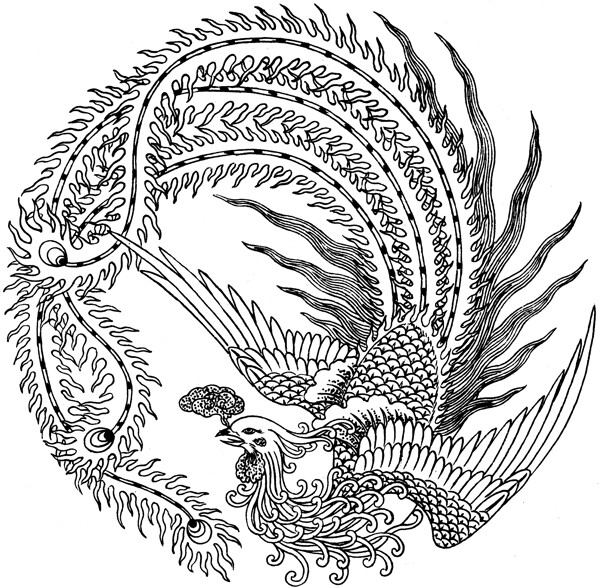 鳳凰手繪圖片