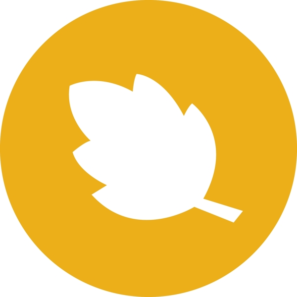 小圖標(biāo)