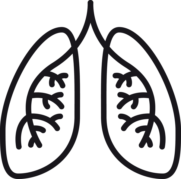 肺子圖標(biāo)