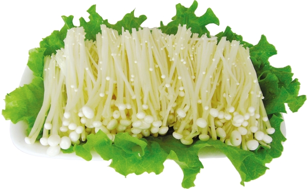 金針菇蘑菇菇