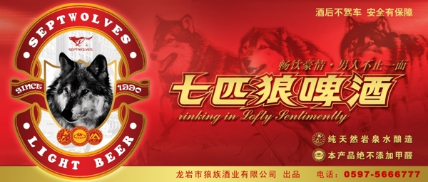 七匹狼啤酒圖片