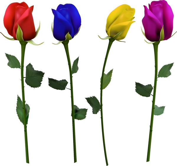 4朵彩色玫瑰花矢量