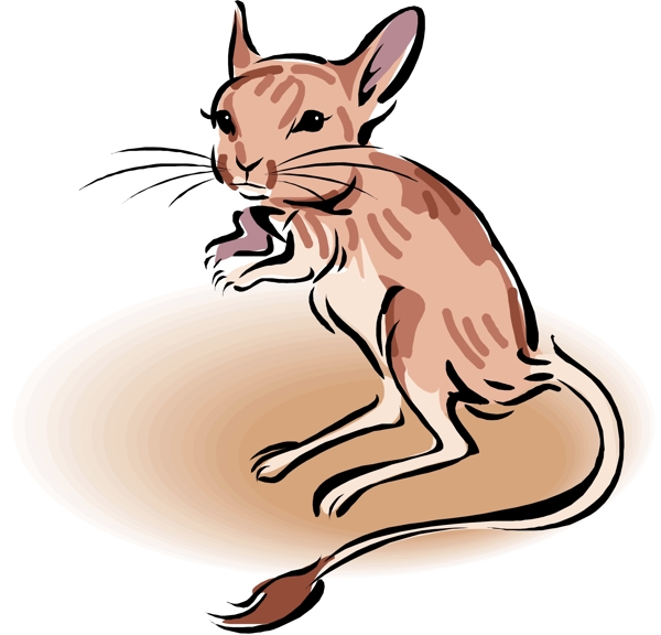 野生動物68