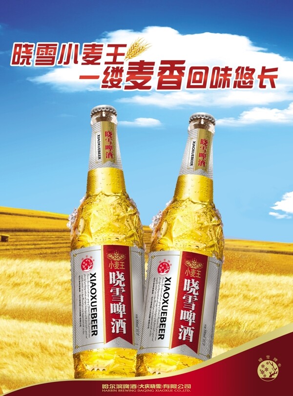 啤酒海報圖片