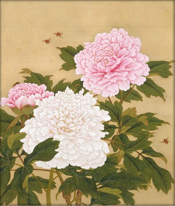 唯美工筆花鳥圖片