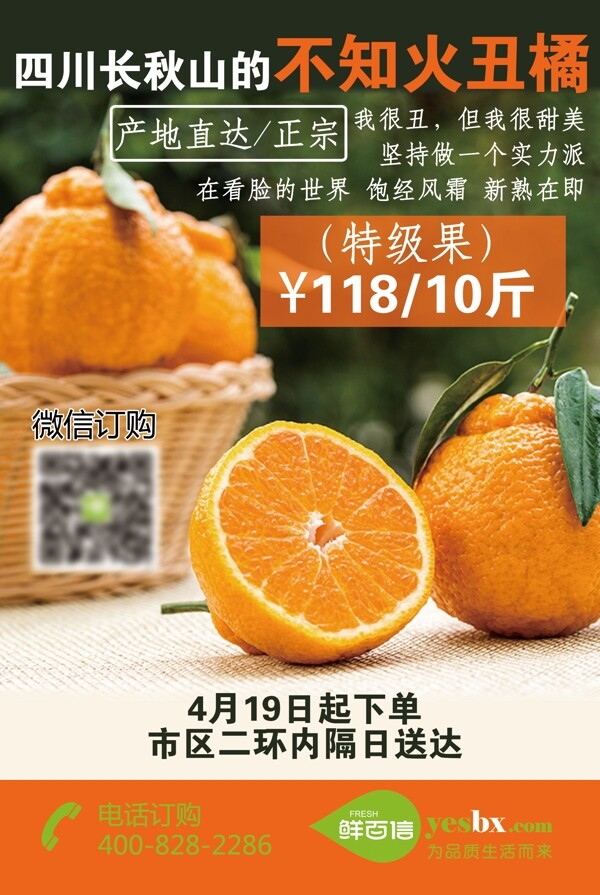 丑橘海報