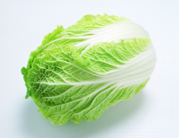新鮮的大白菜