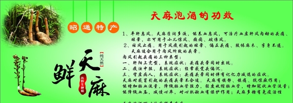 云南鮮天麻