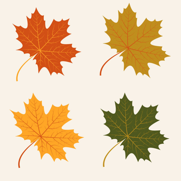 4种秋天的树叶矢量素材
