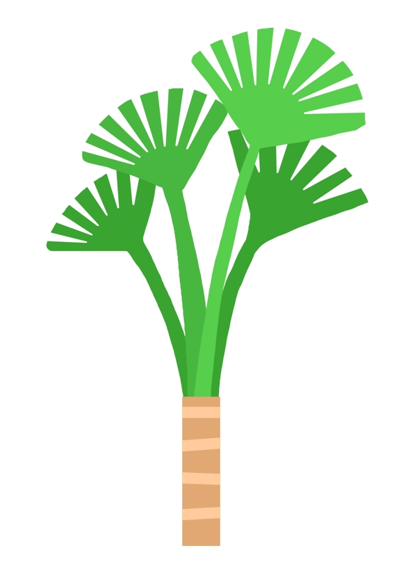 热带植物绿色