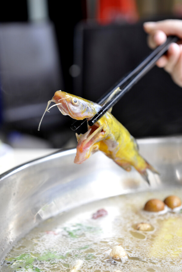 美食