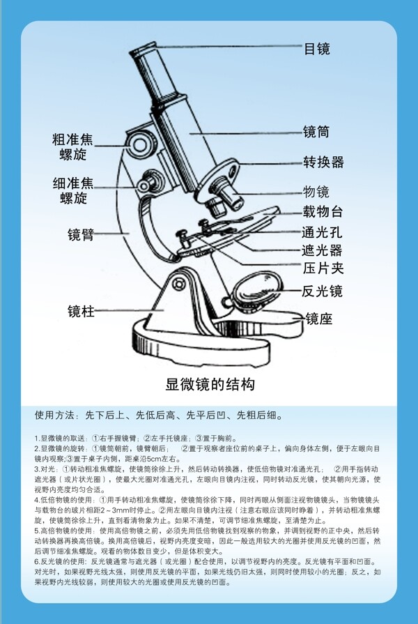 顯微鏡圖片
