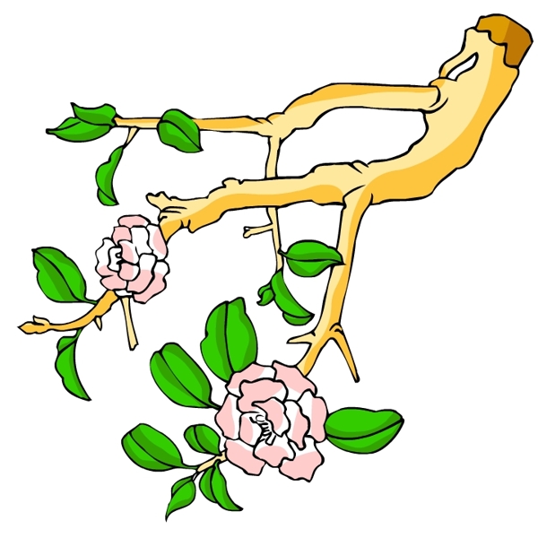 花卉古典插畫