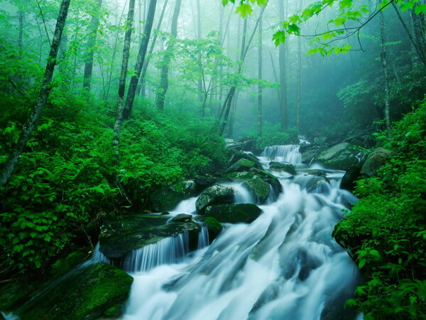 山水風(fēng)景圖圖片
