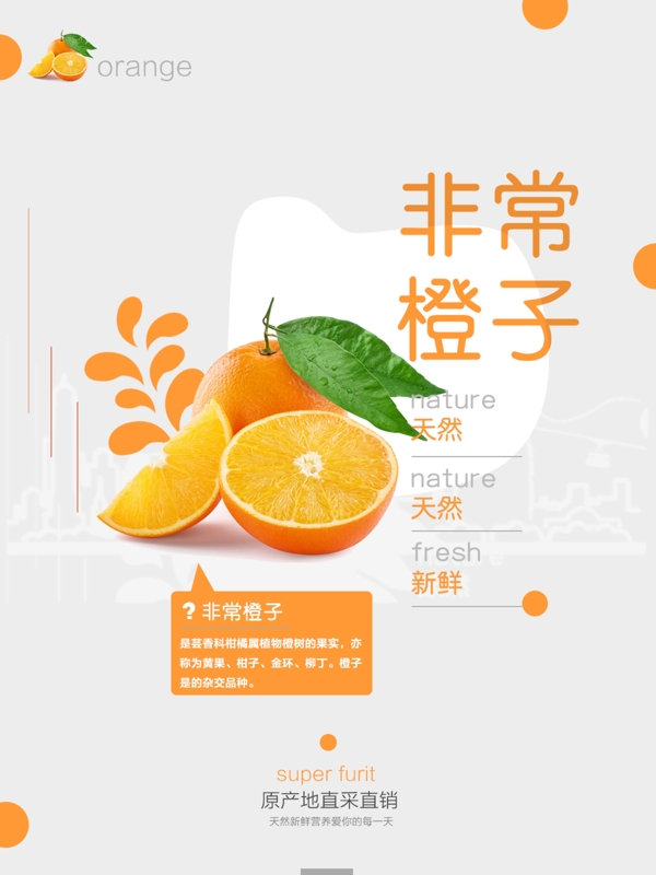 水果海報非常橙子