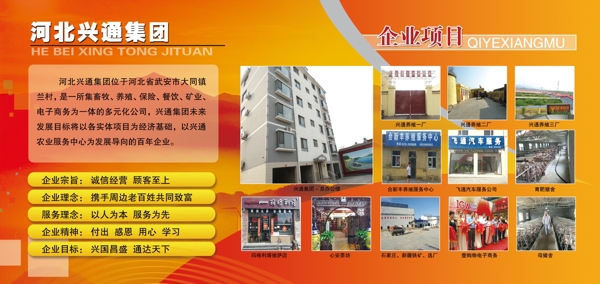 企業(yè)介紹