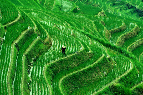 梯田