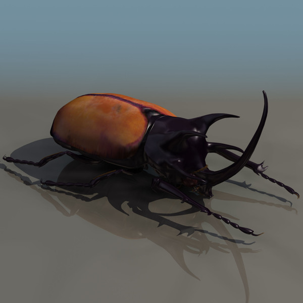 3D模型图库动物类屎壳螂图片