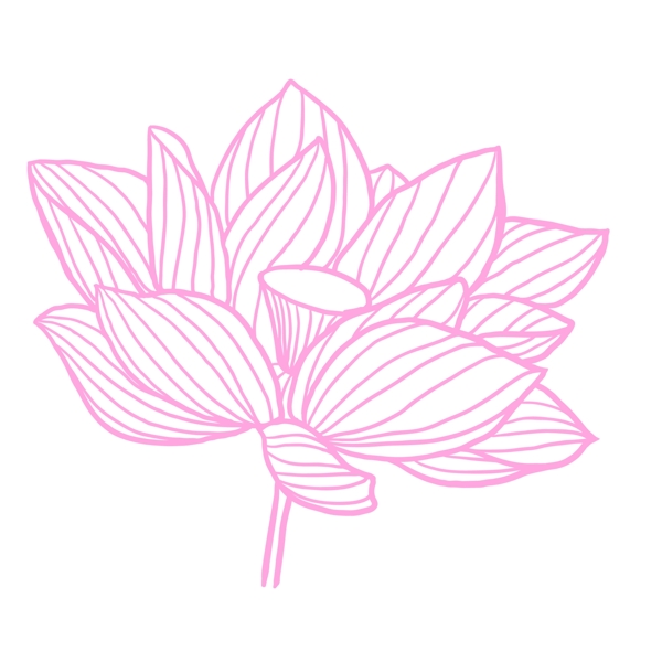 粉色荷花花朵裝飾素材設(shè)計(jì)