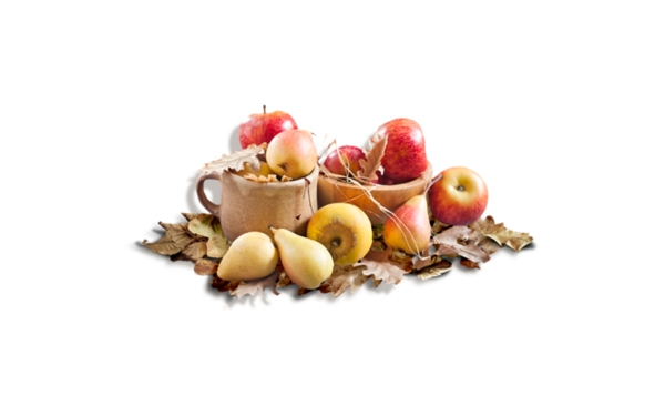 水果果实苹果梨叶子篮子植物食物素材