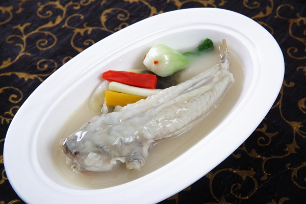 姜葱清炆河豚鱼图片