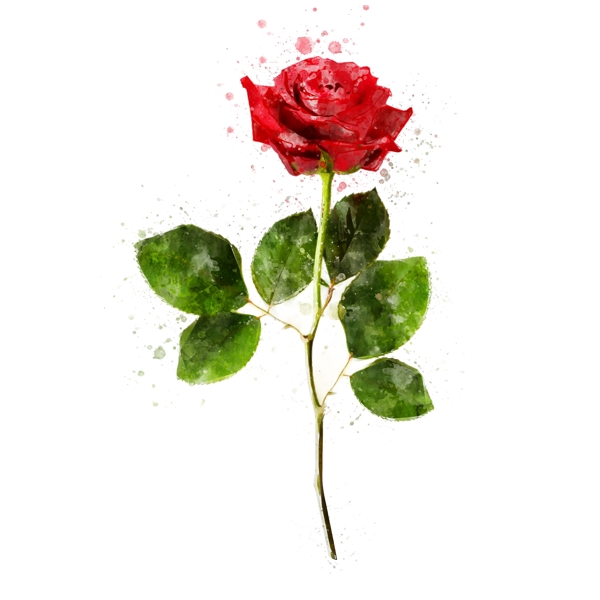 手绘玫瑰红色水彩植物元素