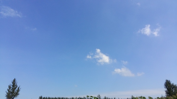 藍(lán)天白云