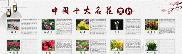 中国名花赏析图片
