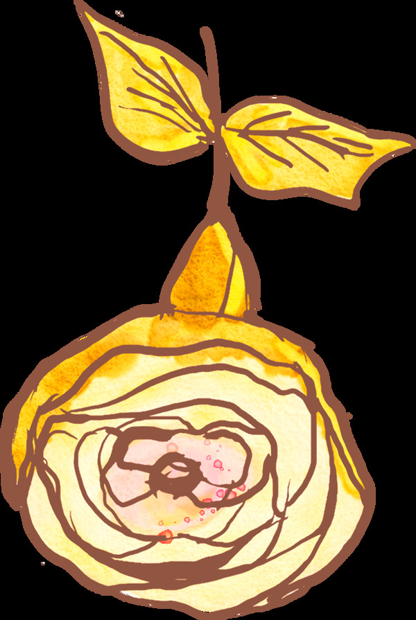 黃肉花束卡通透明素材