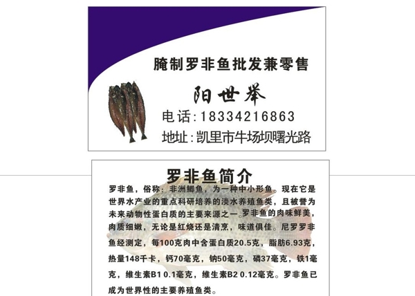 羅非魚名片設(shè)計(jì)