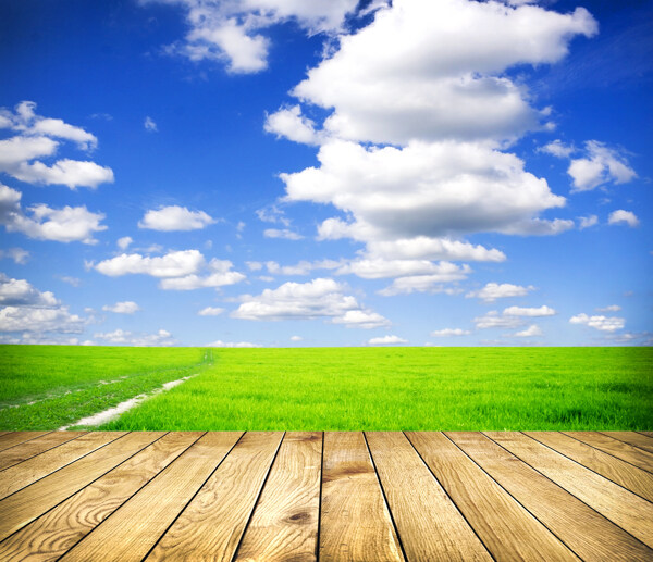 天空草地圖片