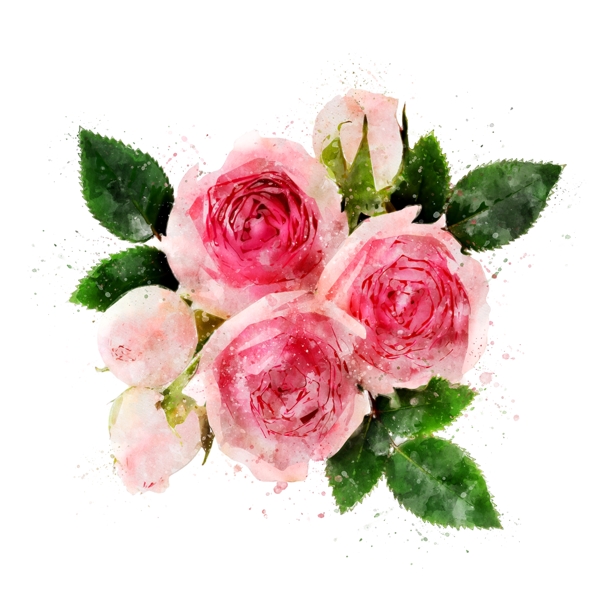 手绘粉色玫瑰花元素