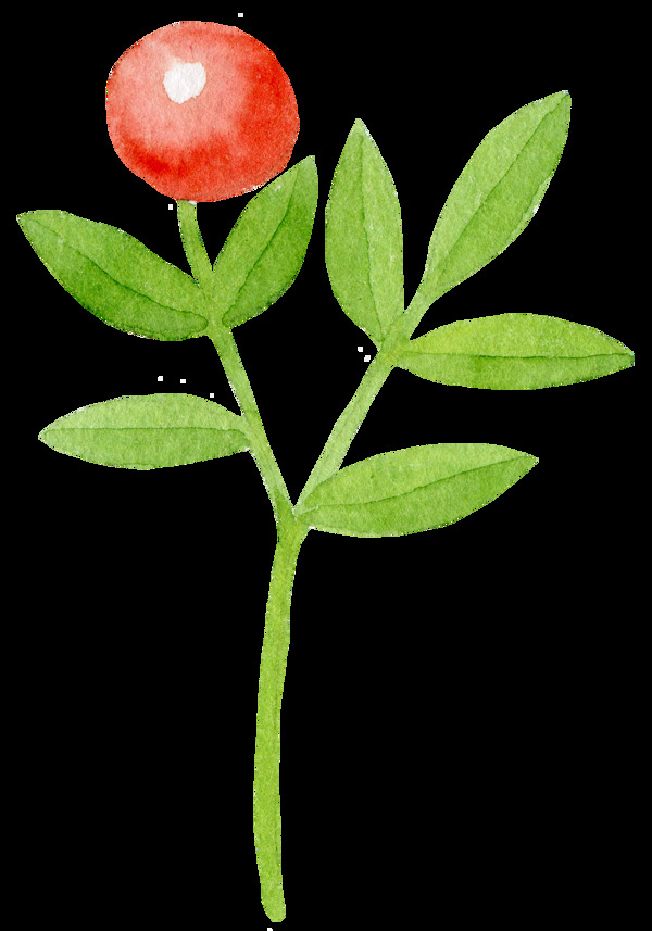 紅花綠葉卡通透明素材