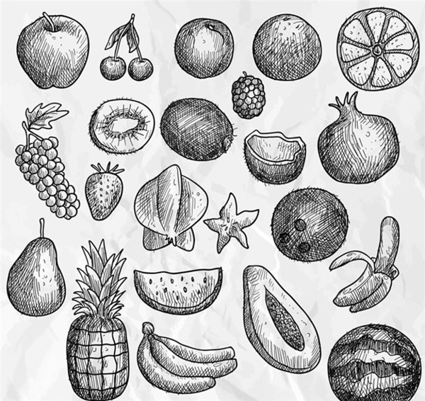 素描手绘22款水果