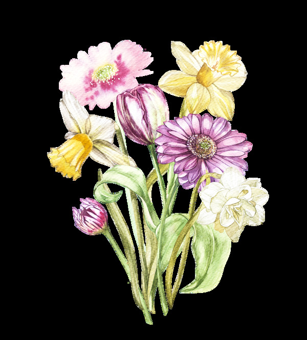 彩色手繪雛菊花透明素材