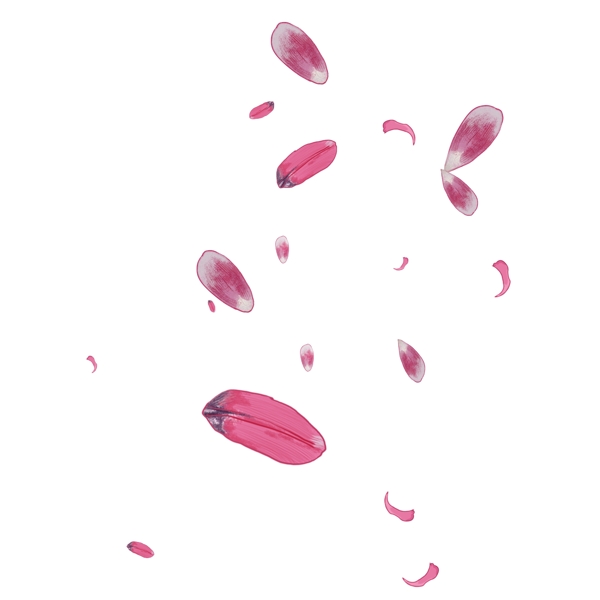 漂浮的红色花瓣插画