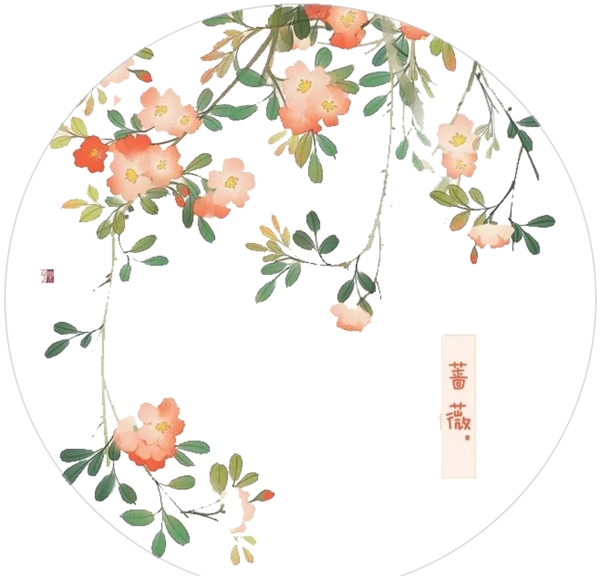 蔷薇花素材图片