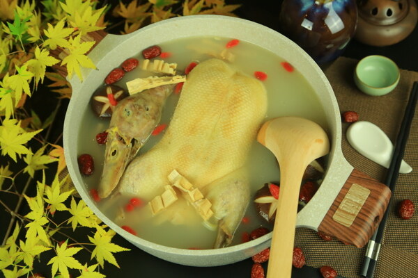 燉鴨