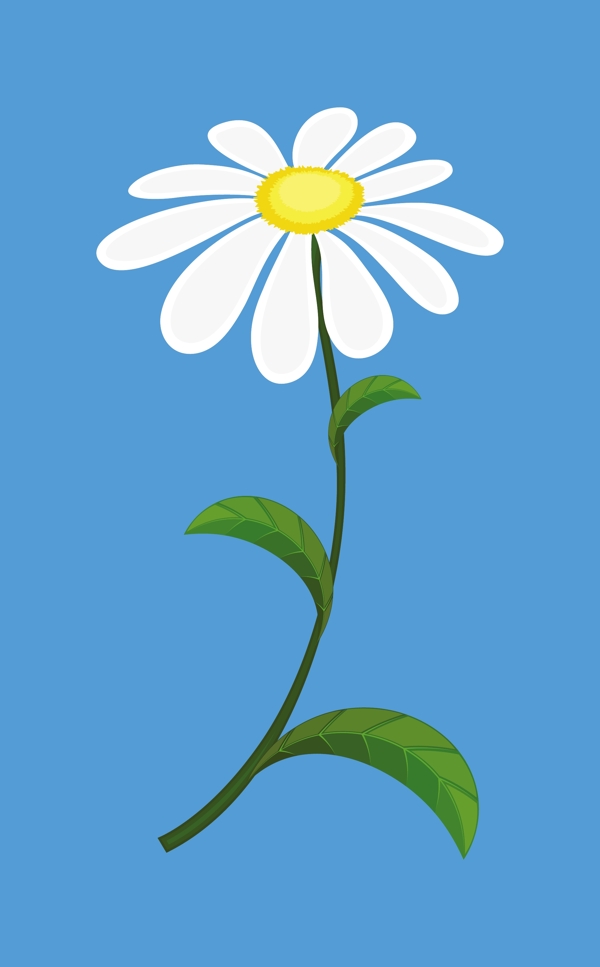 白色的雛菊矢量插畫